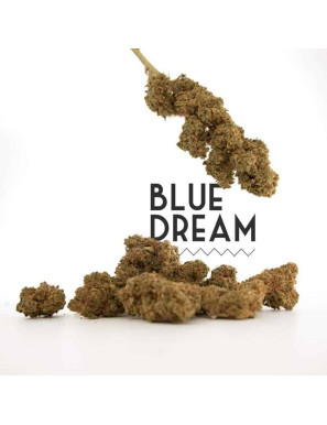BLUE DREAM